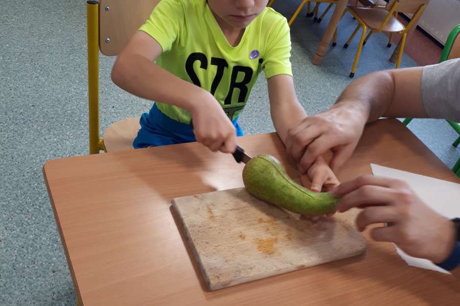 OWOCE ZDROWE I KOLOROWE