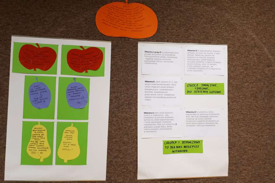 OWOCE ZDROWE I KOLOROWE