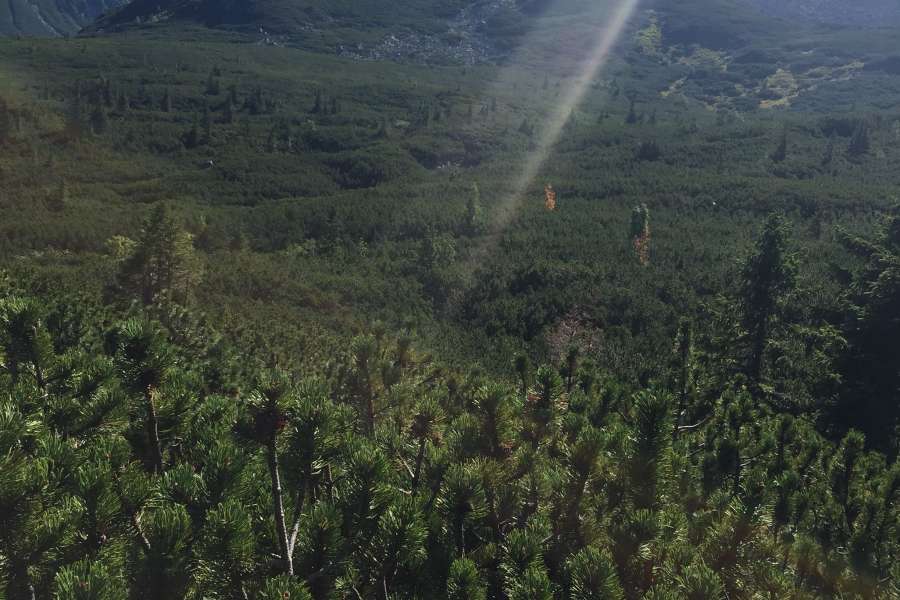 Wycieczka Kasprowy Wierch - klasa 6