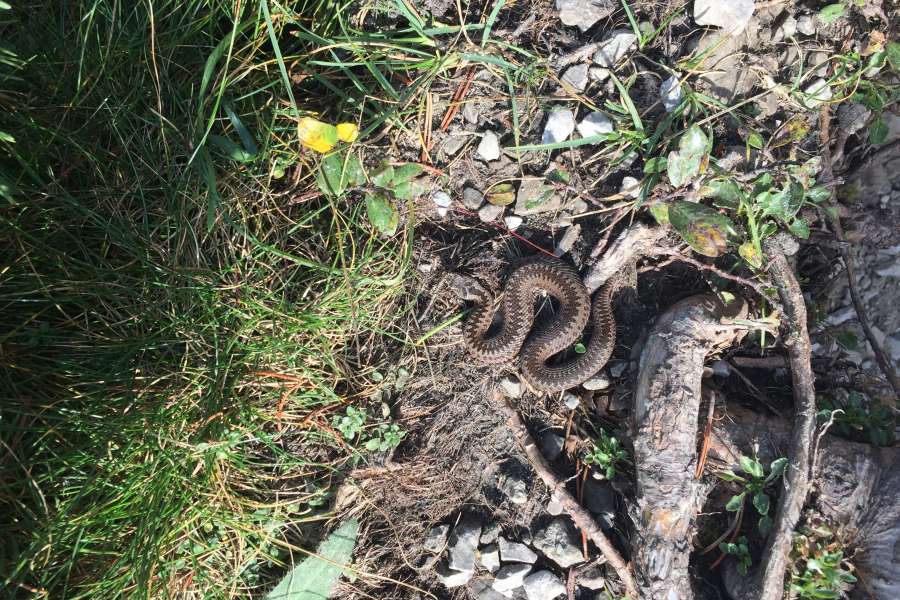 Wycieczka Kasprowy Wierch - klasa 6