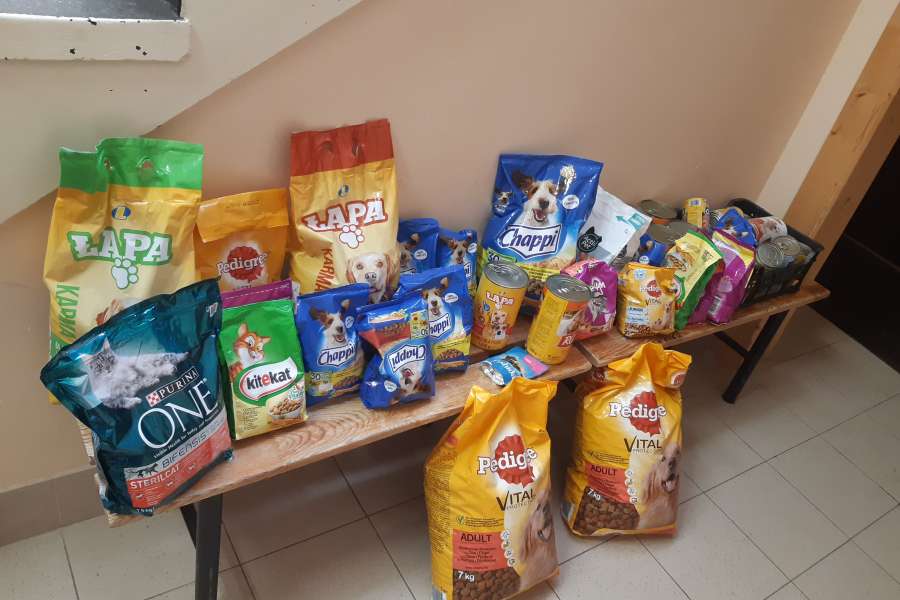 Fundacja Zwierzęta Podhala