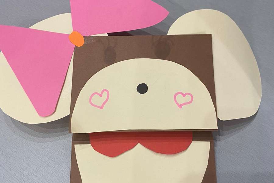 Dzień Pluszowego Misia-BS