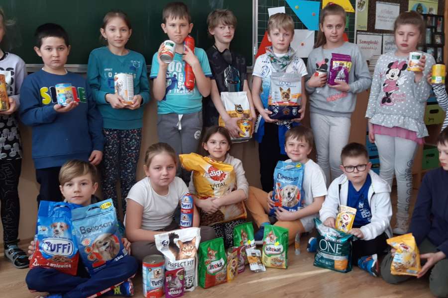 Światowy Dzień Kota-2