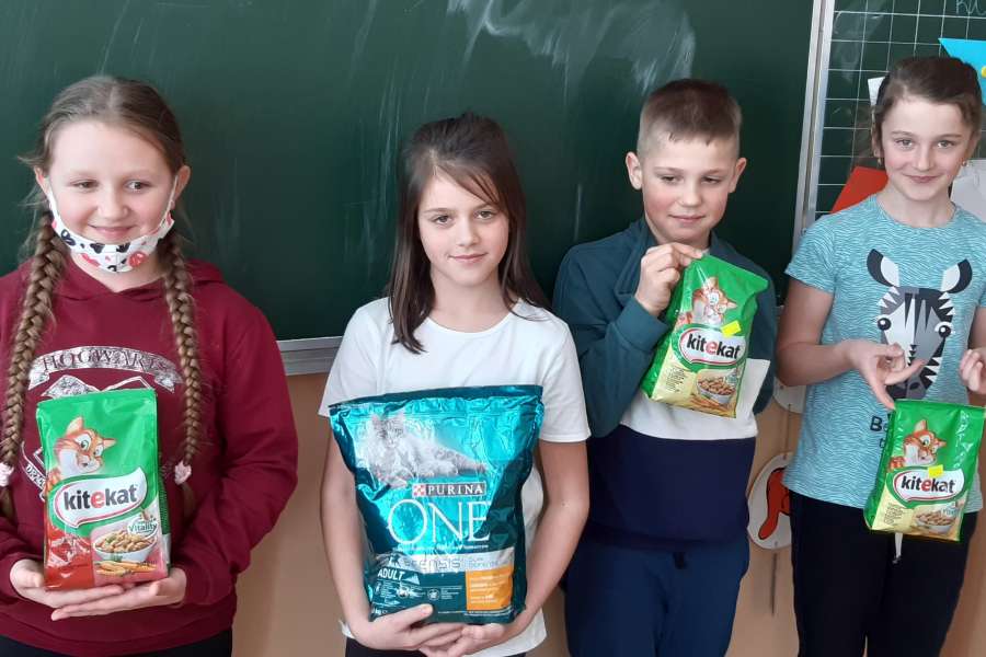 Światowy Dzień Kota-2