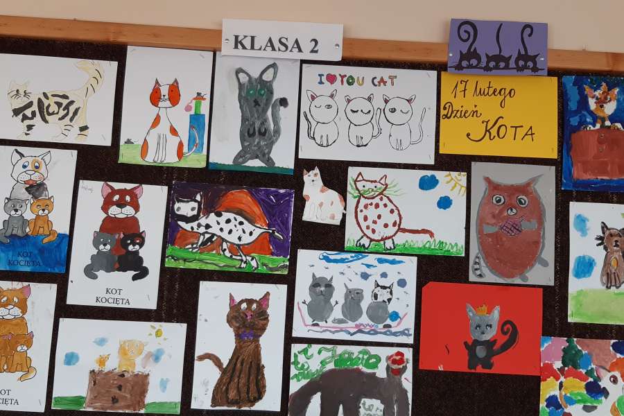 Światowy Dzień Kota-2
