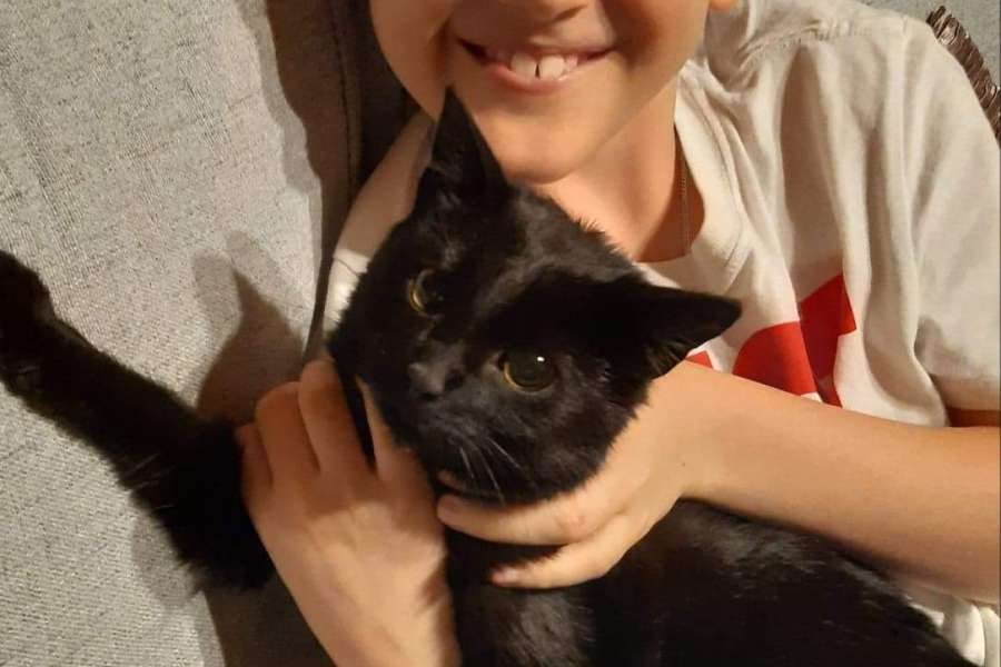 Światowy Dzień Kota-2