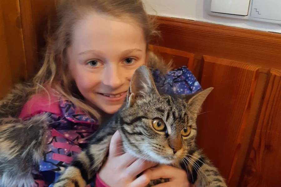 Światowy Dzień Kota-2