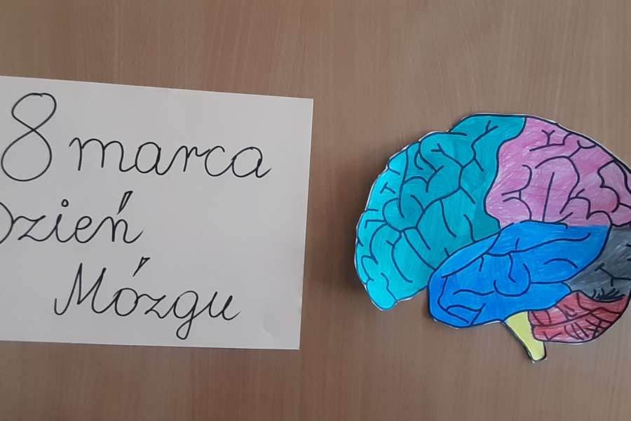 DZIEŃ MÓZGU W KLASIE 2