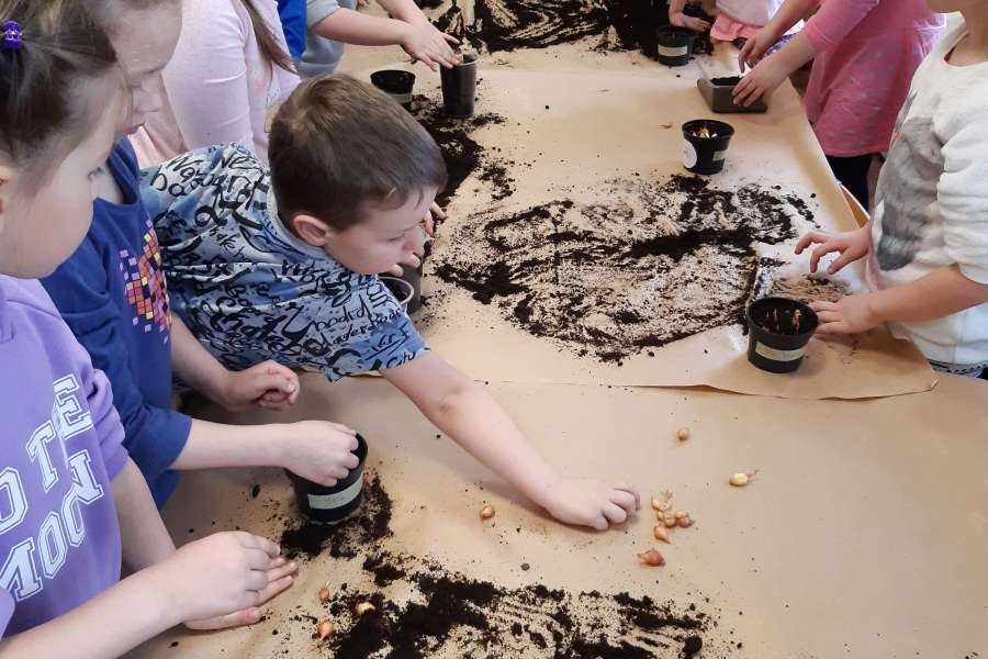 Siejemy, sadzimy – wiosna na parapecie