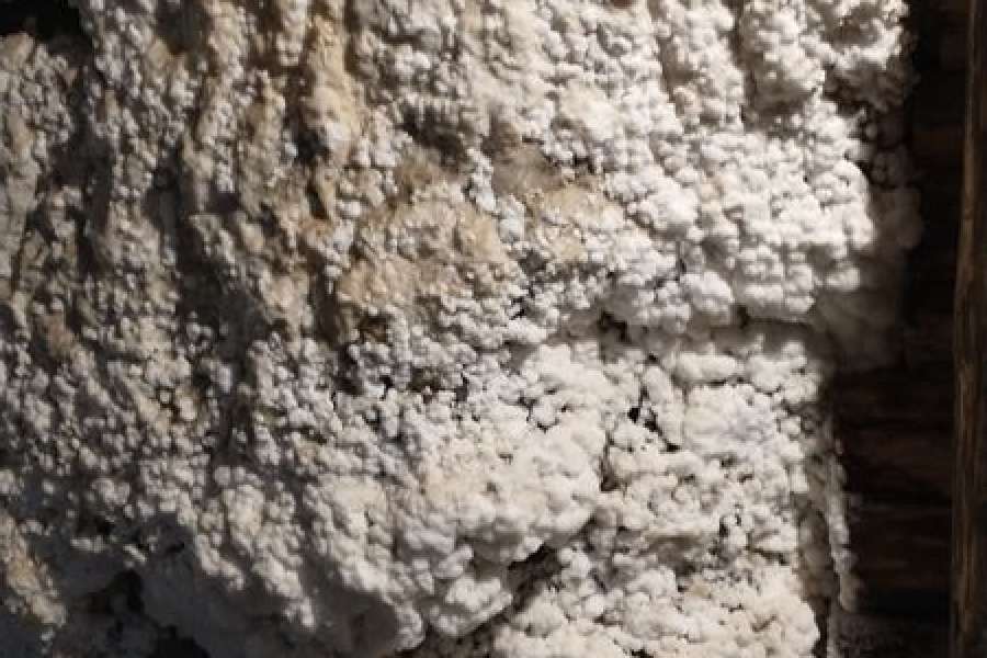 Wycieczka do  Kopalni  Soli w Bochni