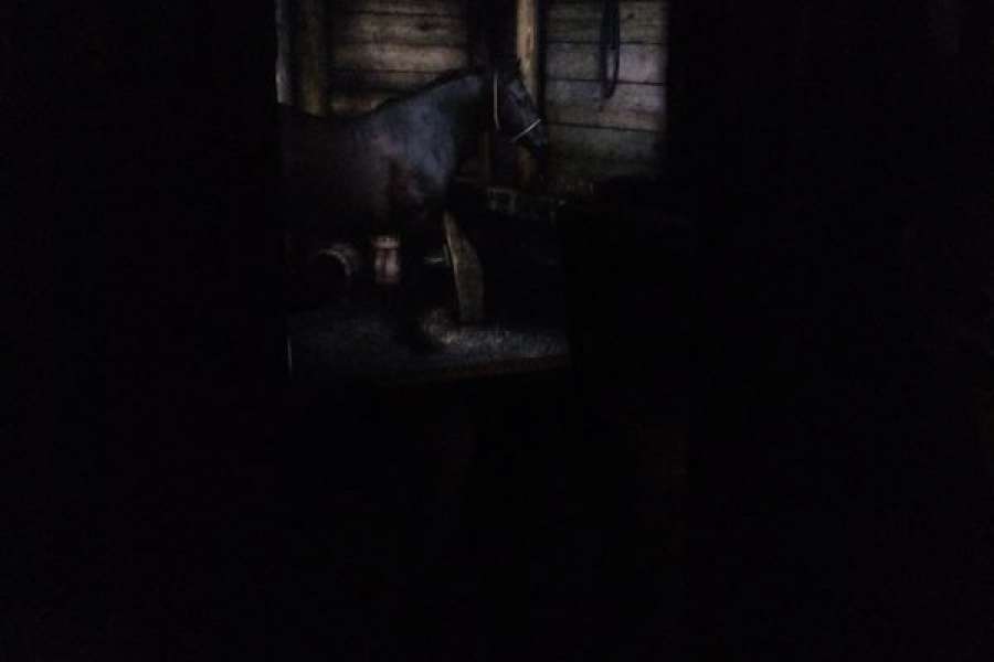 Wycieczka do  Kopalni  Soli w Bochni