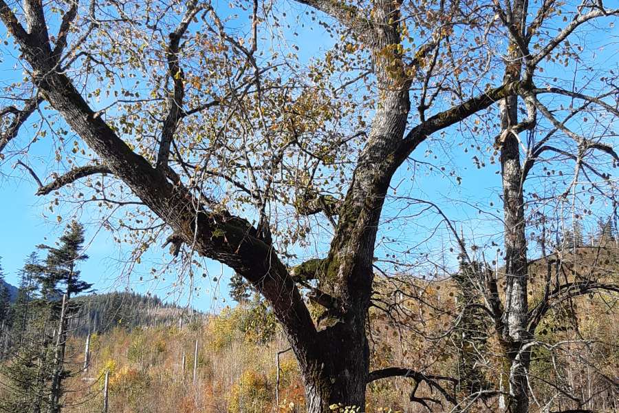 JESIENNA WYCIECZKA DO DOLINY KOŚCIELISKIEJ UCZNIÓW KLASY 2 i 3