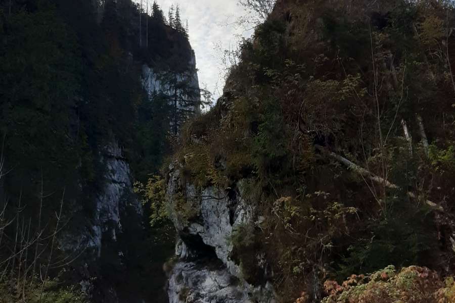 JESIENNA WYCIECZKA DO DOLINY KOŚCIELISKIEJ UCZNIÓW KLASY 2 i 3