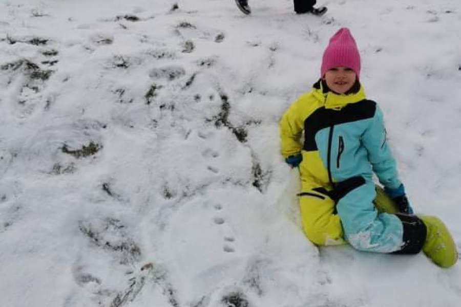 ŚWIATOWY DZIEŃ BAŁWANA W KLASACH 2