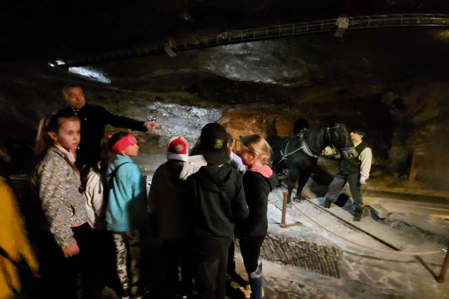 Wycieczka do Wieliczki kl. 1-3