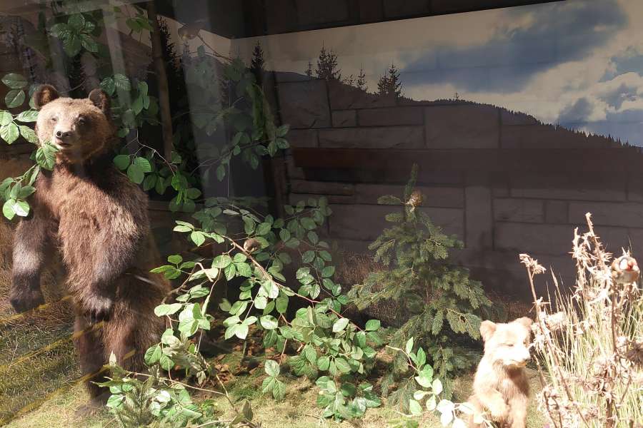 ZAJĘCIA UCZNIÓW KLASY 3 W TPN