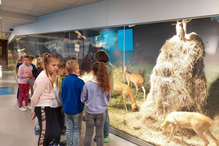 ZAJĘCIA UCZNIÓW KLASY 3 W TPN