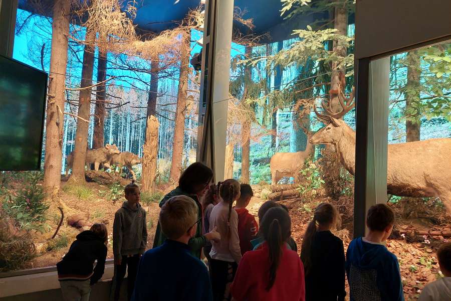 ZAJĘCIA UCZNIÓW KLASY 3 W TPN