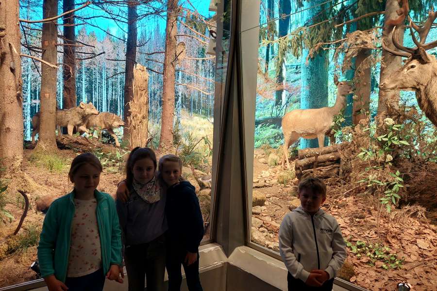 ZAJĘCIA UCZNIÓW KLASY 3 W TPN