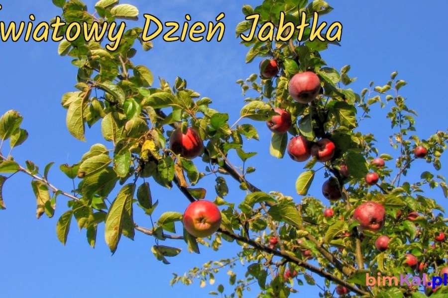 DZIEŃ JABŁKA W KLASACH 1-3
