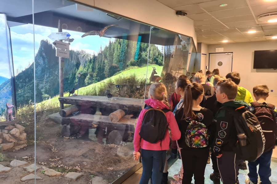 Lekcja Edukacyjna TPN Zwierzęta Tatr