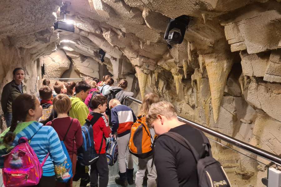 Lekcja Edukacyjna TPN Zwierzęta Tatr
