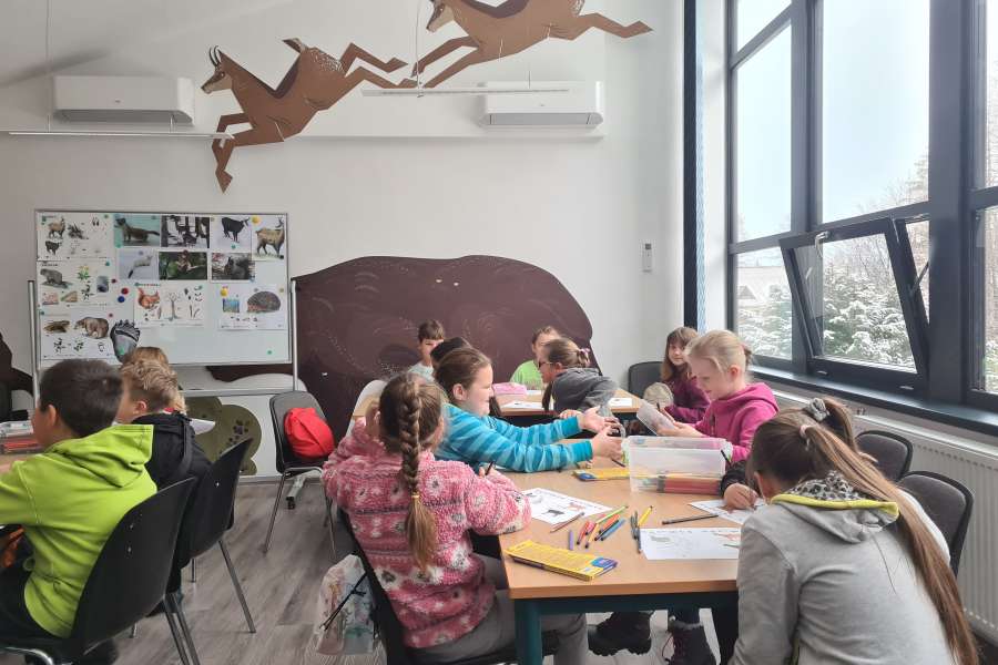 Lekcja Edukacyjna TPN Zwierzęta Tatr