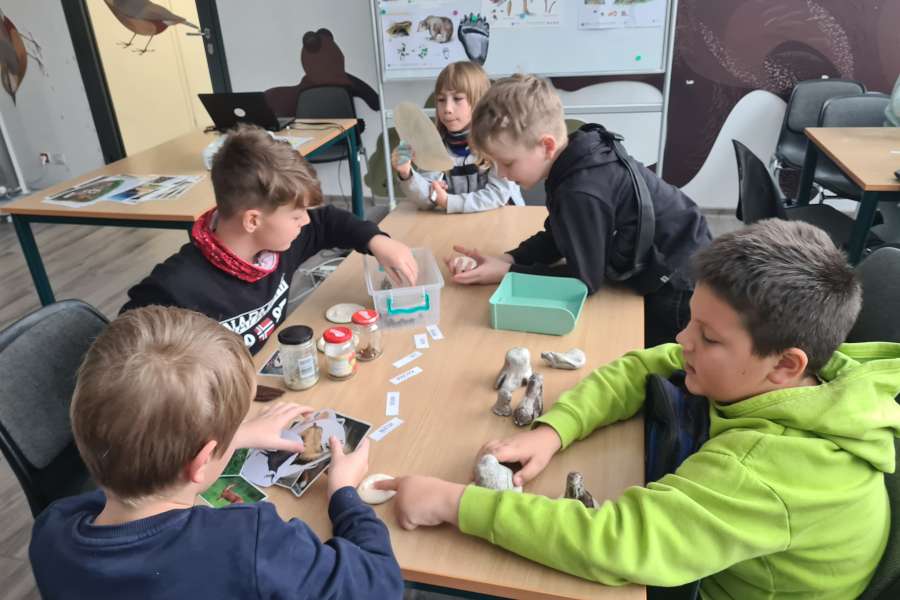 Lekcja Edukacyjna TPN Zwierzęta Tatr