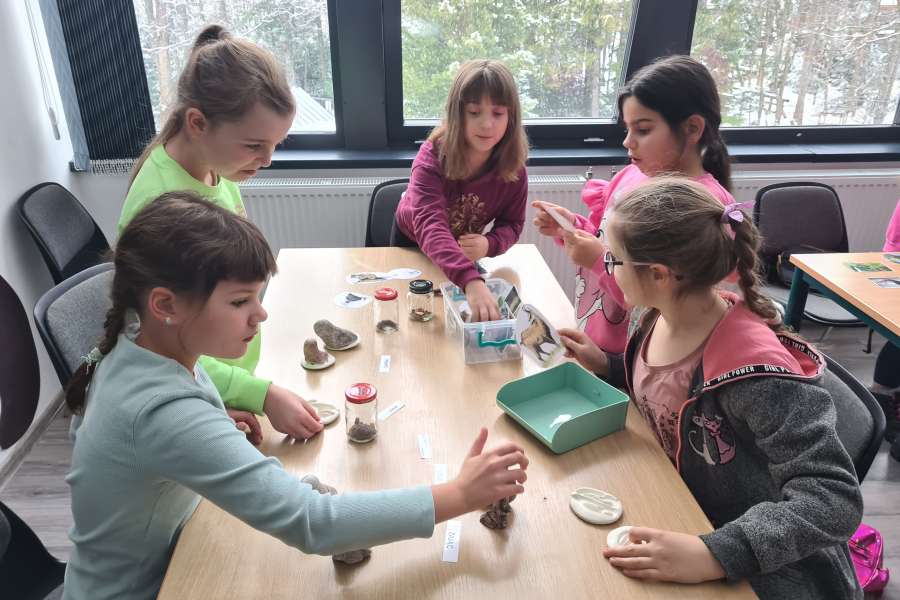 Lekcja Edukacyjna TPN Zwierzęta Tatr