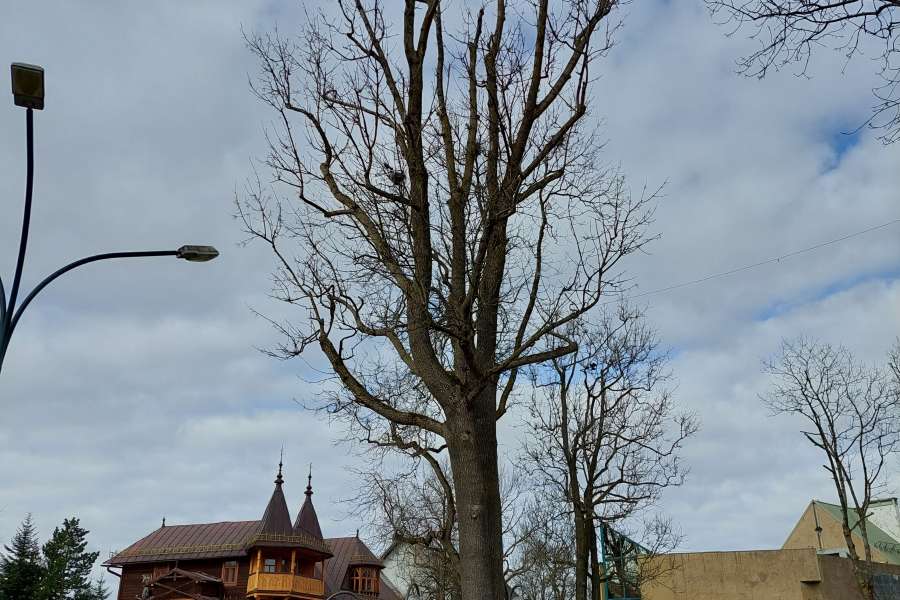 Pierwszy Dzień Wiosny – klas I i  II