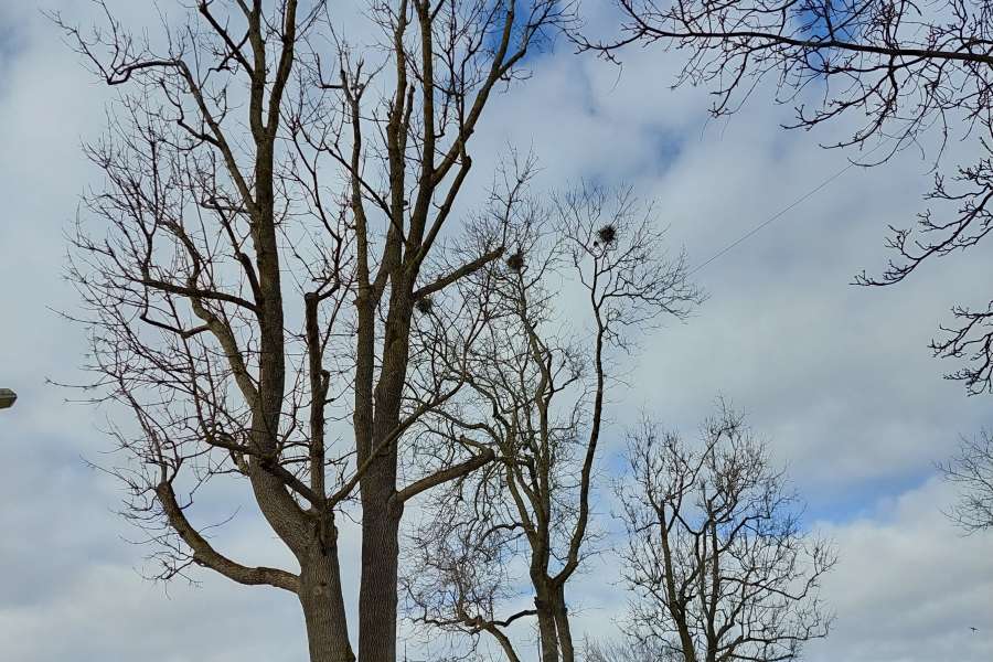 Pierwszy Dzień Wiosny – klas I i  II