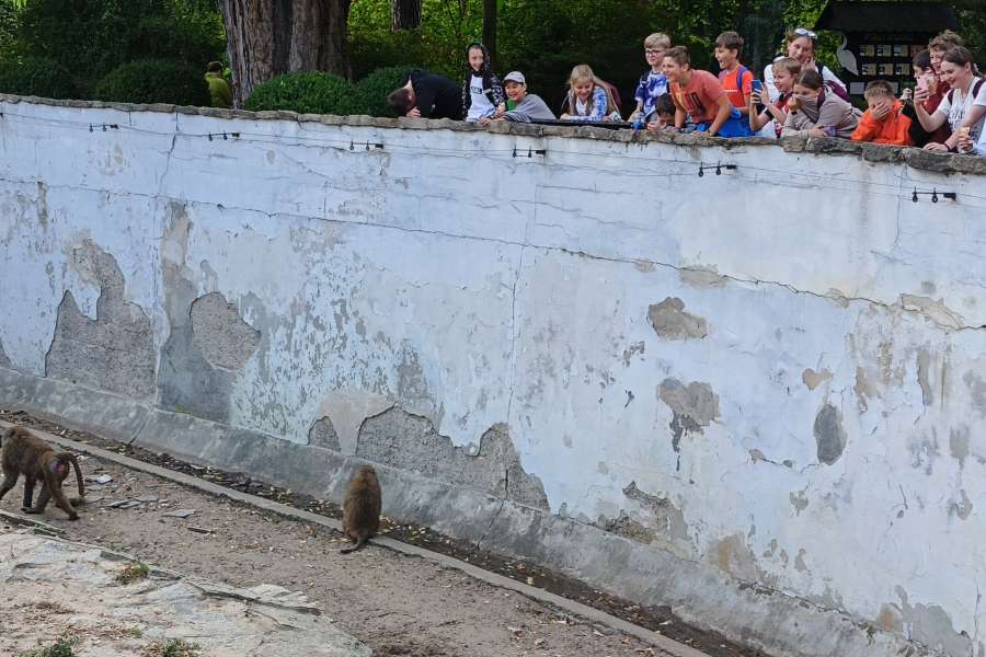 PROGRAM  „POZNAJ POLSKĘ” WYSTARTOWAŁ!