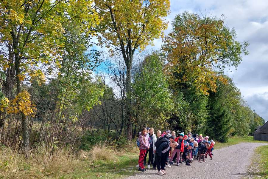 Dzień Drzewa 2023-24a