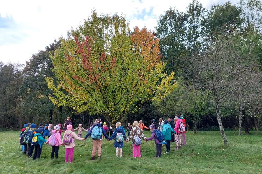 Dzień Drzewa 2023-24a