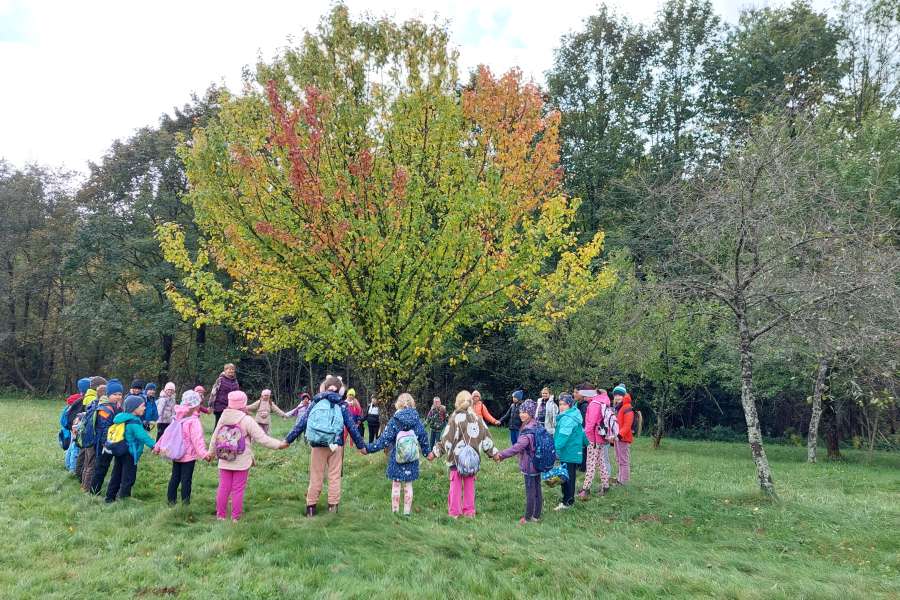 Dzień Drzewa 2023-24a