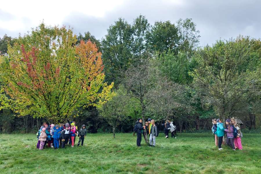 Dzień Drzewa 2023-24a