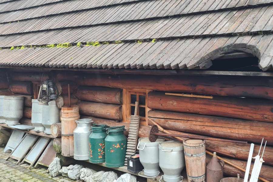 WYCIECZKA KLAS 1-3 DO ZUBRZYCY-23-24a