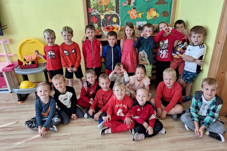 "Projekt Witaminki - pomidor" w grupie Smerfów