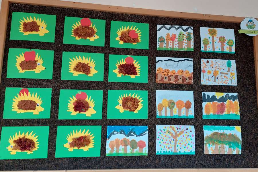 Dzień Drzewa 2023-24a