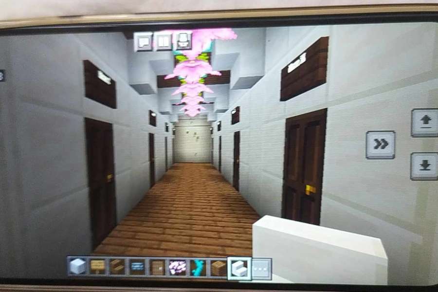 minecraft2324a