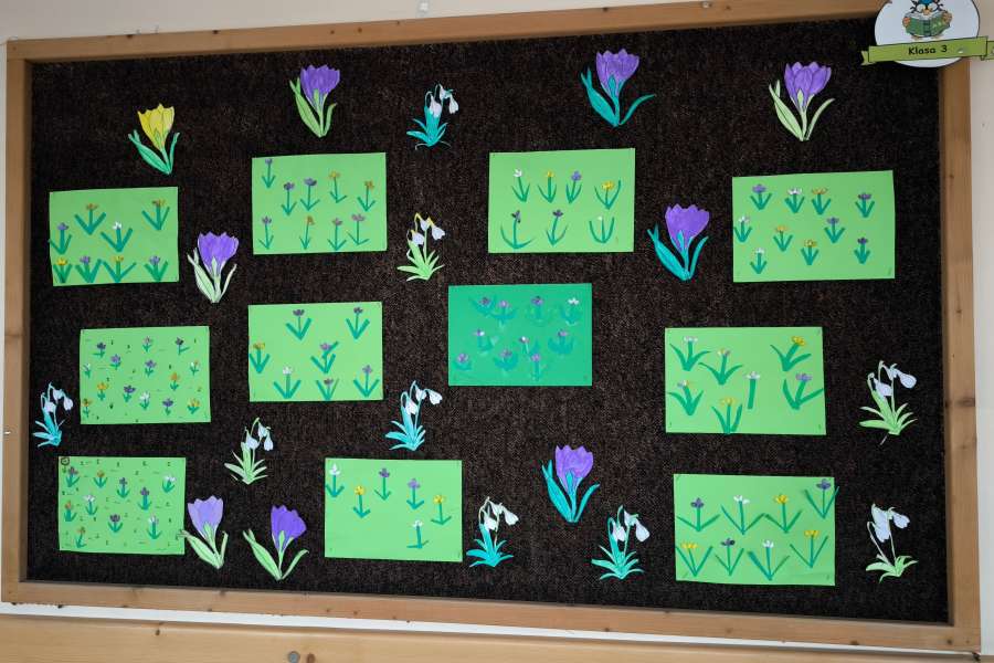 Dzień Kolorowej Skarpetki2324a