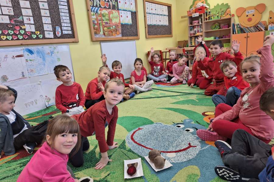 Projekt Witaminki- burak-pp2324a