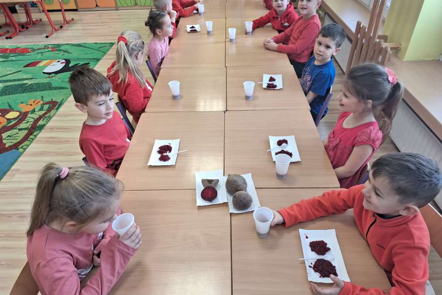 Projekt Witaminki- burak-pp2324a