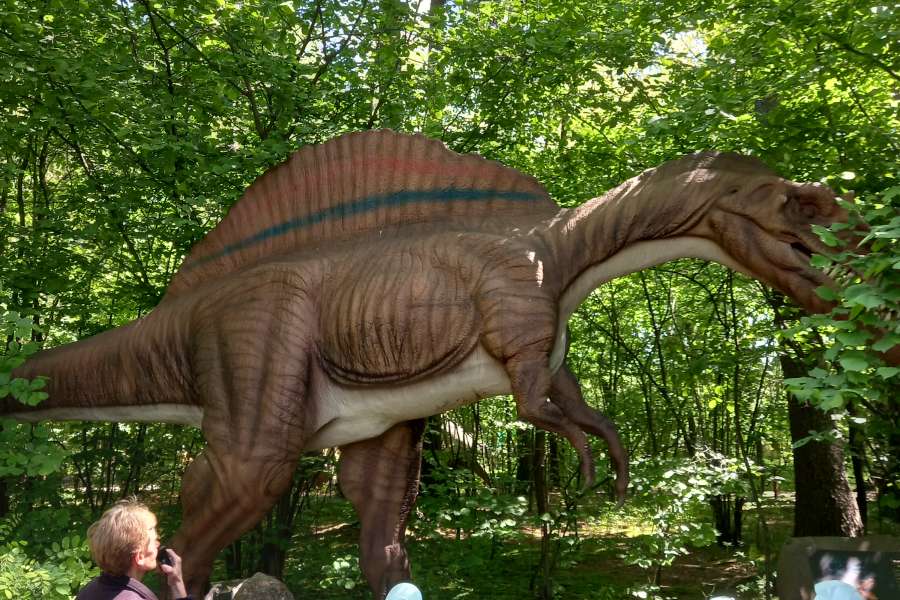 Wycieczka PP do Zatorlandu 2324a