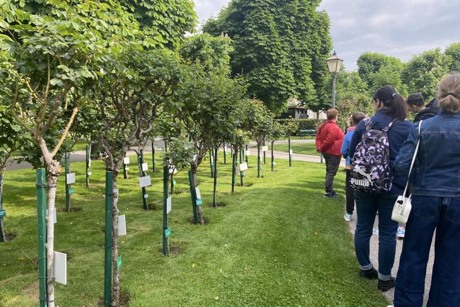 Wycieczka Wiedeń + Budapeszt