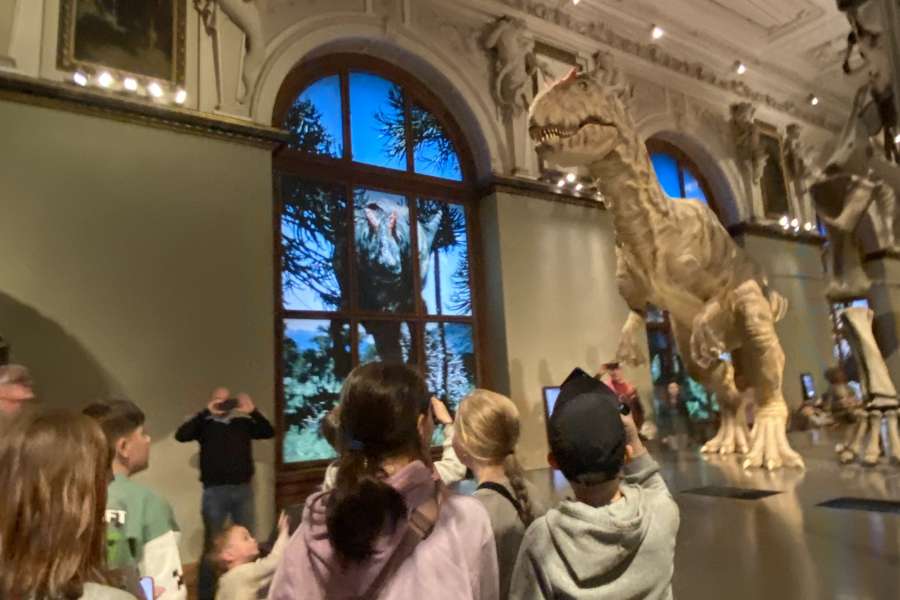 Wycieczka Wiedeń + Budapeszt