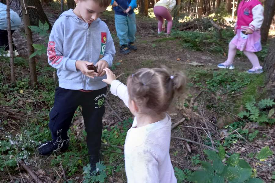 Wyjście przedszkolaków do lasu 2025