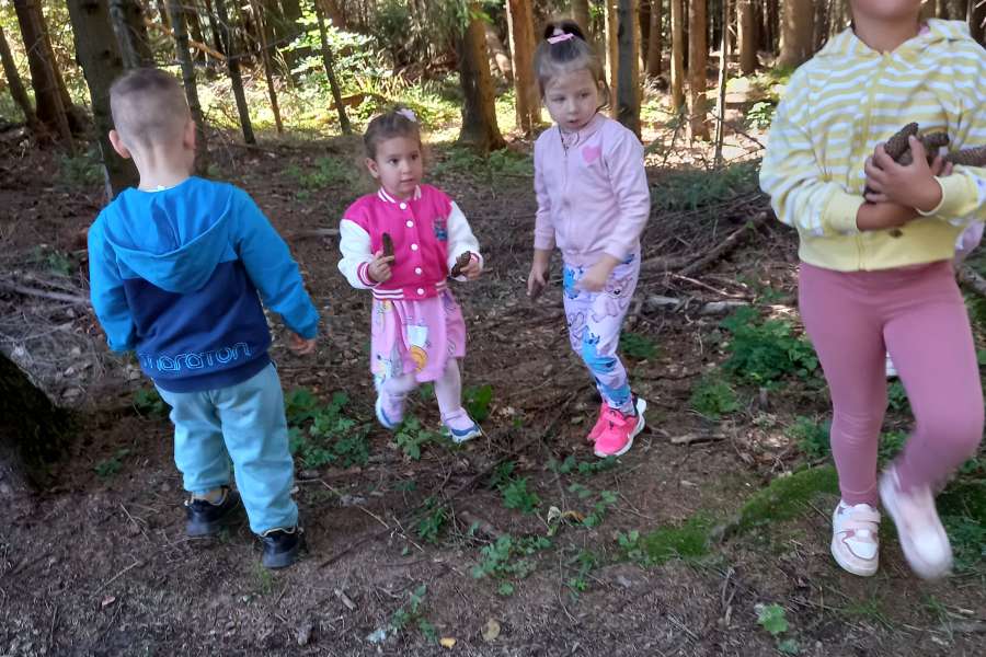 Wyjście przedszkolaków do lasu 2025