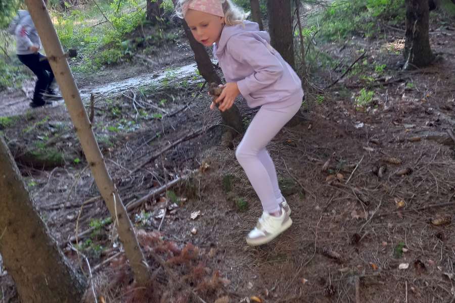 Wyjście przedszkolaków do lasu 2025