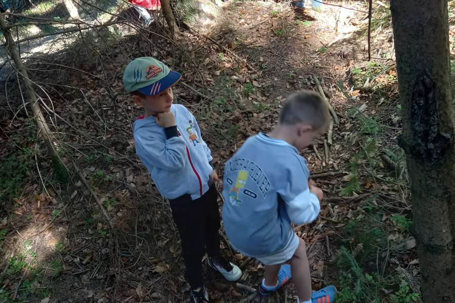 Wyjście przedszkolaków do lasu 2025